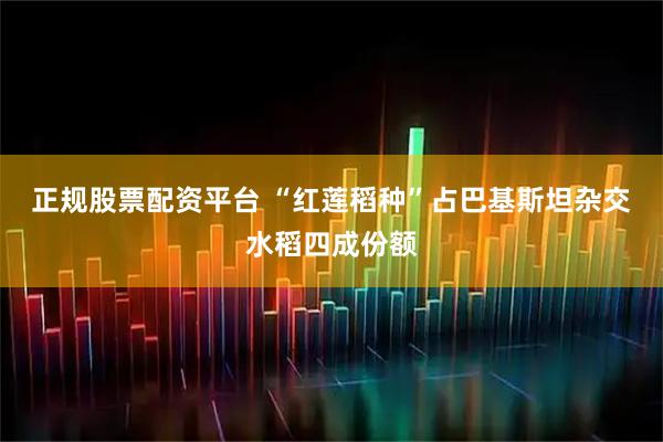 正规股票配资平台 “红莲稻种”占巴基斯坦杂交水稻四成份额