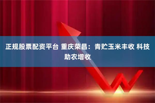 正规股票配资平台 重庆荣昌：青贮玉米丰收 科技助农增收